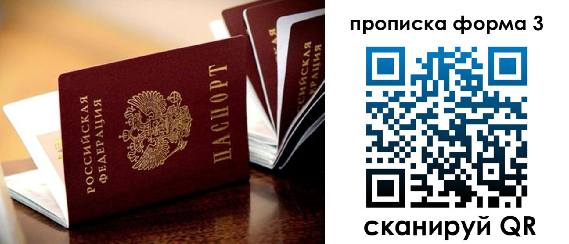 временная регистрация надежно в Курганской области